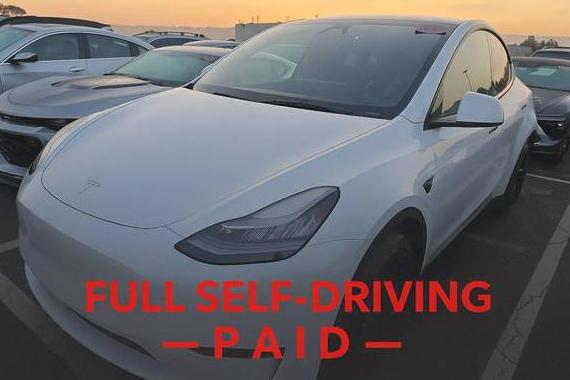 TESLA MODEL Y 2021 5YJYGDEE6MF215187 image